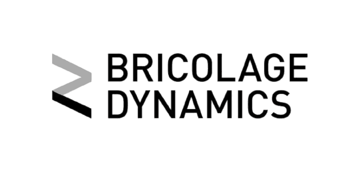 Bricolage Dynamics